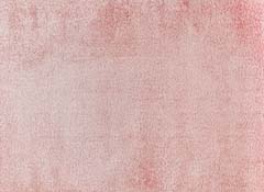 Rosa | Payton Pink