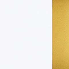 Branco Brilho + Dourado  (Foto)