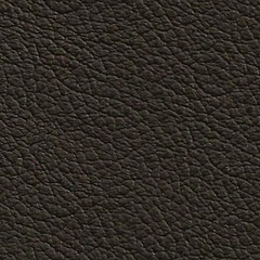 febric-color
