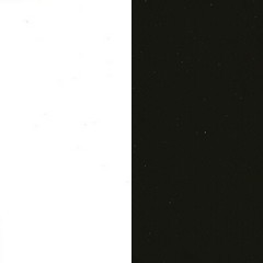 Branco Brilho + Preto  (Foto)