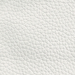 febric-color
