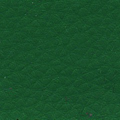 febric-color