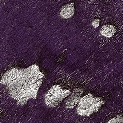 febric-color