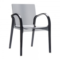 PVC Preto Transparente