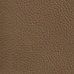 febric-color