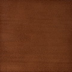 Faia Cerejeira Esc | CF23