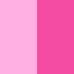 Rosa + Rosa Choque  (Foto)