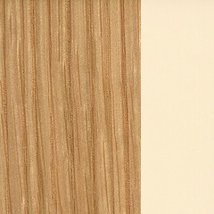 febric-color