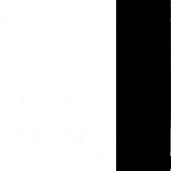 Branco Brilho + Preto Brilho