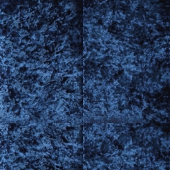 Veludo Azul  (Foto)