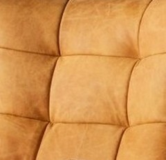 Amarelo Torrado  (Foto)