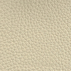 febric-color