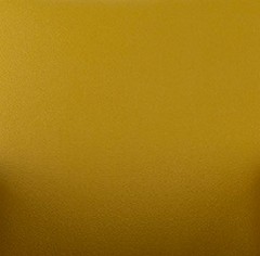 Sintético Amarelo  (Foto)