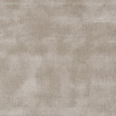 Bege | Mocha