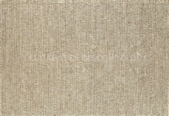 Bege Escuro | CS02 Oyster
