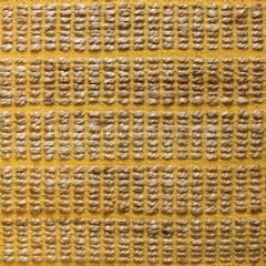 Amarelo Mostarda | Mustard