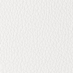 Sintético Branco | Omega Branco (Foto)