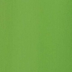 Tela Verde  (Foto)