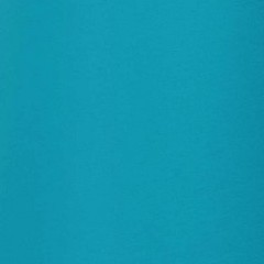 Tela Azul  (Foto)