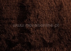 Castanho | Ref. Cool Brown 