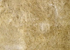 Bege | Ref. Funny Beige (Foto)
