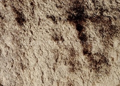 Castanho Claro | Ref. Sigma Sand