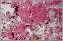 Rosa | X/Q25