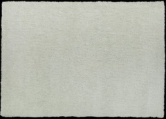 Branco / Ref. SHELLY 05 WHITE