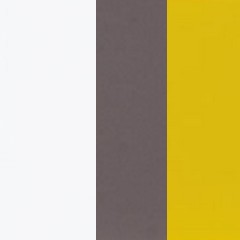 Branco + Cinza + Amarelo Brilho  (Foto)