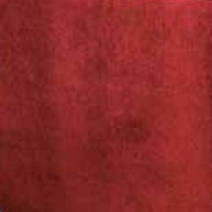 Veludo Vermelho  (Foto)