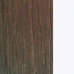 febric-color