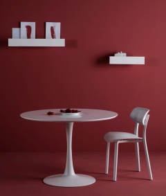 Ref. 11992 / Lacado Branco  (Foto)