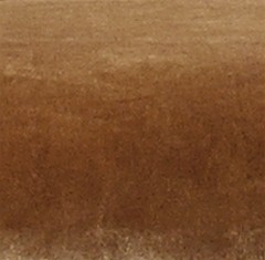 Veludo Camel | DILON7 (Foto)