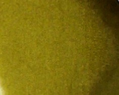Veludo Verde | DILON5 (Foto)