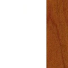 febric-color