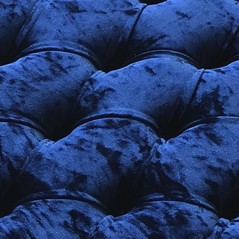 Veludo Azul  (Foto)