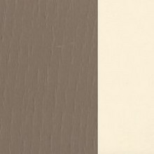 febric-color