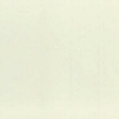 Vidro Branco  (Foto)