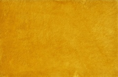Amarelo  (Foto)