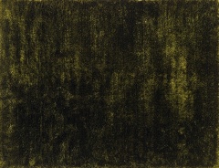 Verde | 06