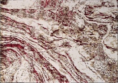 Vermelho | MARBLE/006 (Foto)