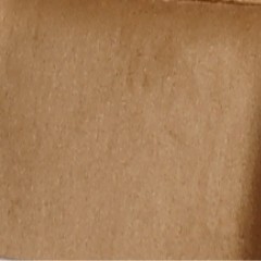 Veludo Camel  (Foto)