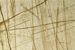 Amarelo | BLANC/009