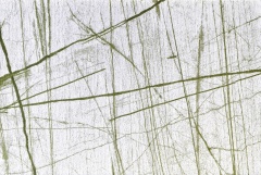 Verde | BLANC/027