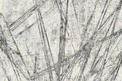 Cinza | 002/002 (Foto)