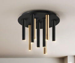 Dourado e Preto | 374088 (Foto)