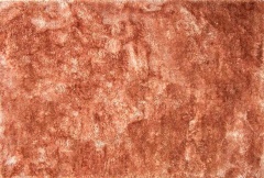 Coral | Dusky Pink