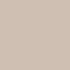 Taupe | NCS 2005Y60R