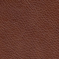 febric-color
