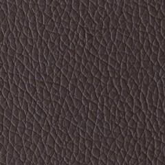 Sintético Castanho | Omega Castanho Esc